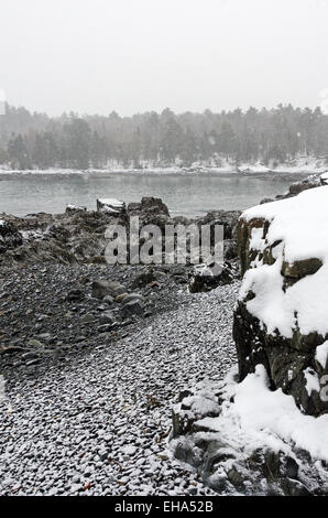 Cerca in Compass Porto nel Parco Nazionale di Acadia, Maine, durante una tempesta di neve. Foto Stock