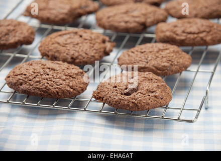 I biscotti al cioccolato su una griglia di raffreddamento Foto Stock