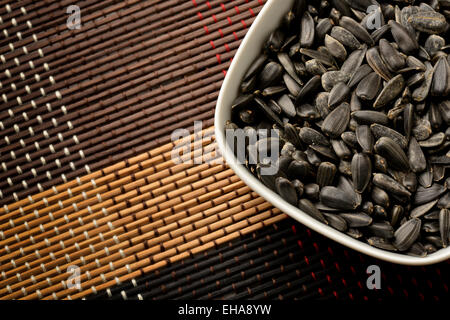 Semi di girasole in vaso Foto Stock