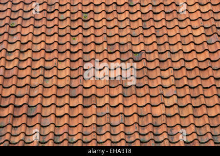 Tegole rosse. Northumberland, Inghilterra Foto Stock