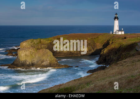 Yaquina Capo Faro, Newport, Oregon, Stati Uniti d'America Foto Stock