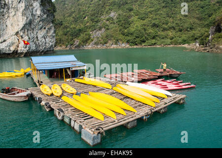 Canoa,canoisti, tra Carso montagne calcaree a Cat Ba National Park, Ha long,Halong Bay, Ha long,Halong Bay, Vietnam Foto Stock