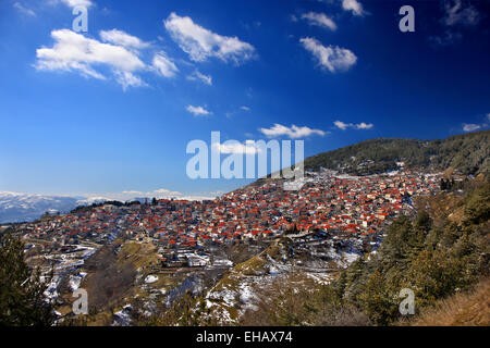 Livadi village, Comune di Elassona, Larisa, Tessaglia, Grecia. Foto Stock