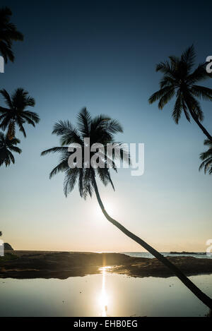 Palme silhouette, Goyambokka spiaggia vicino Tangalle, Sri Lanka, Asia Foto Stock