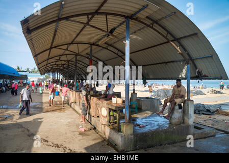 Asia Sri Lanka Negombo, persone al mercato del pesce mattina Foto Stock