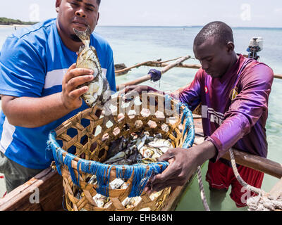 Due pescatori con una barca di legno tradizionale e di pesce sulla spiaggia di Isola Mbudya in Tanzania, in Africa, in una giornata di sole Foto Stock