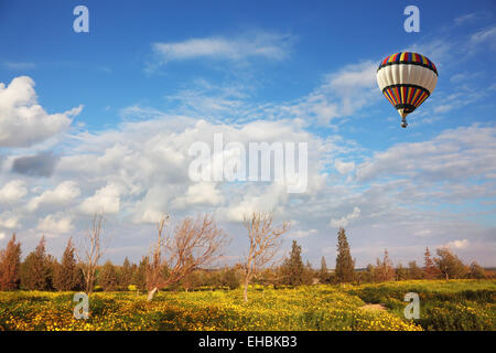 Un enorme pallone oltre il campo di fioritura Foto Stock