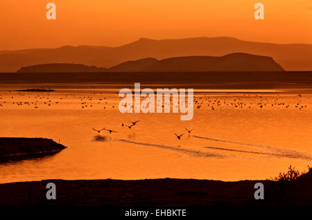 Tramonto al lago Karla, Magnessia - Larissa, Tessaglia, Grecia. Foto Stock