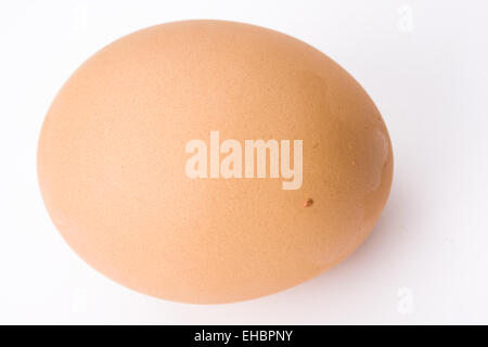 Singolo uovo beige su sfondo bianco Foto Stock