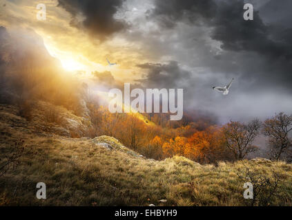 Uccelli e nuvole grigie su montagne in autunno Foto Stock