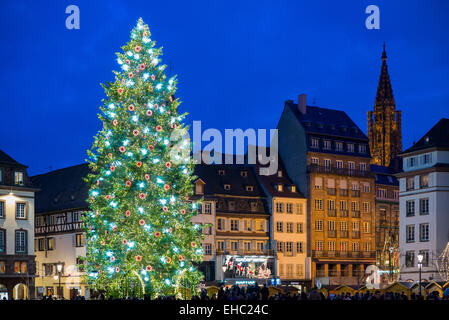 Illuminata gigantesco albero di Natale sulla Place Kleber square a tempo di Natale, crepuscolo, Strasburgo Alsace Francia Europa Foto Stock