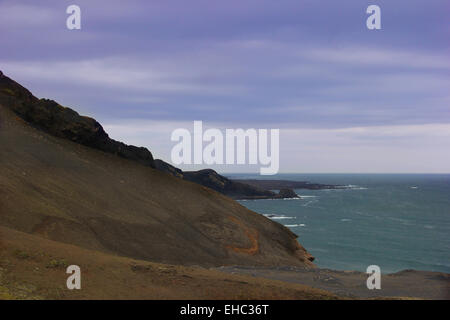 Scogliere islandesi nel sud-ovest dell'Islanda verso il nord dell'Oceano Atlantico su un pomeriggio autunnale Foto Stock