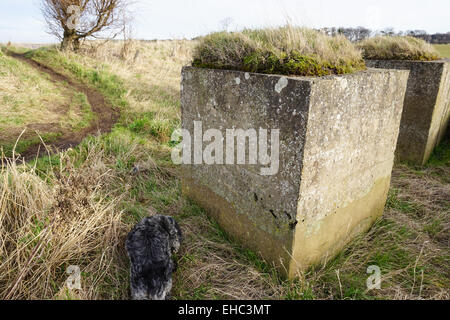 Le trappole del serbatoio, Belhaven Bay, Dunbar Foto Stock