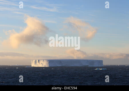 Iceberg, Ice berg, Antartide paesaggio tabulare durante il tramonto. Foto Stock