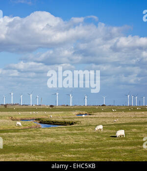 Fattorie eoliche su Romney Marsh. Foto Stock