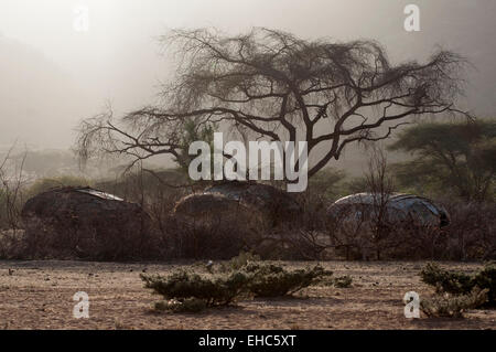 Tipiche baite sotto un grande albero di acacia in un Samburu villaggio vicino a Ngurunit, Kenya Foto Stock