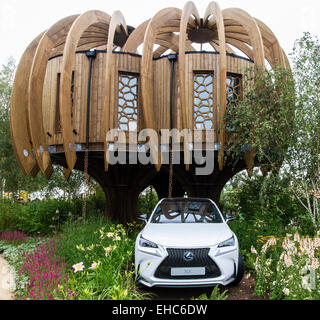 RHS Hampton Court Flower Show Luglio 2014 Foto Stock