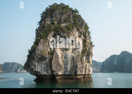 Il Carso di calcare in Cat Ba Parco Nazionale,Ha long,Halong Bay, Vietnam Foto Stock