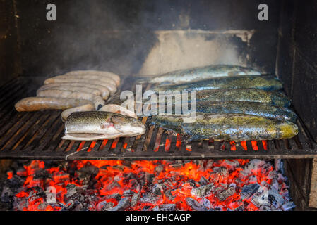 Pesce seduto sul barbecue in mattoni fritto in luce naturale Foto Stock