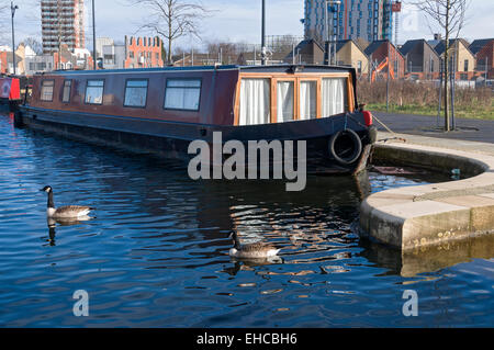 Canal Boat in Marina di Campo di cotone Park, Ancoats, Manchester, Inghilterra, Regno Unito Foto Stock