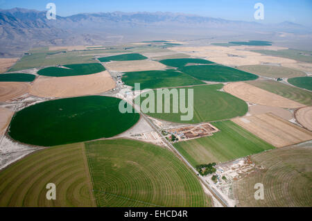 Terre irrigate (articolazione centrale irrigazione di spruzzatore) nella piccola Lost River Valley, Idaho Foto Stock