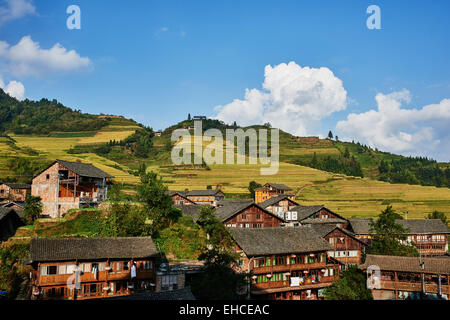 Riso campi terrazzati di longji Wengjia Longsheng Hunan Cina Foto Stock