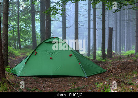 Tenda verde sulla foresta closeup Foto Stock