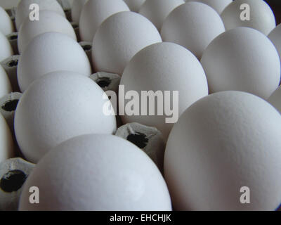 uova di gallina Foto Stock