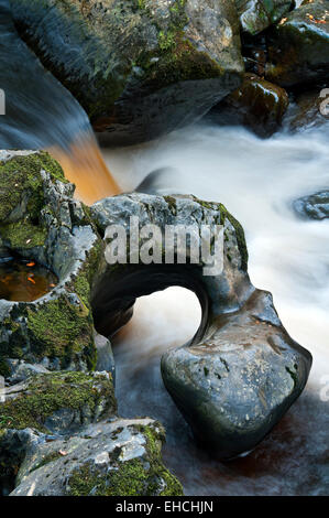 Modelli di roccia in Afon Conwy, il Fairy Glen, vicino a Betws Y Coed, Snowdonia, Galles del Nord, Regno Unito Foto Stock
