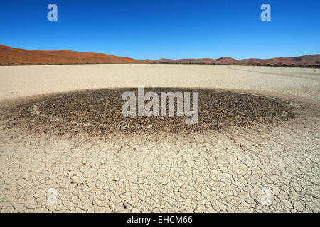 Cerchio di pietra, nascosto Vlei, sale e argilla pan, Namib Desert, Namib Naukluft Park, Namibia Foto Stock