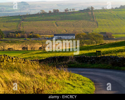 Paese di avvolgimento in prossimità della strada due volte prodotta vicino al Vallo di Adriano nel Parco nazionale di Northumberland North East England Regno Unito Foto Stock