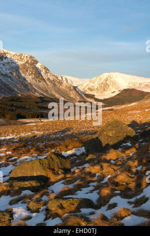 Glen clova angus nel freddo nevoso nitido alba candelette Foto Stock