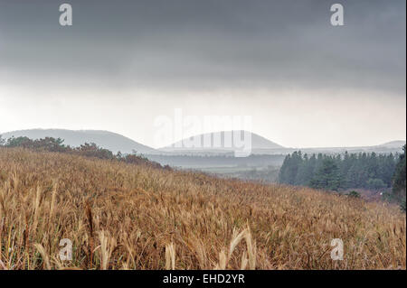 Vista dalla cima del cratere Sangumburi in Jeju Island Foto Stock