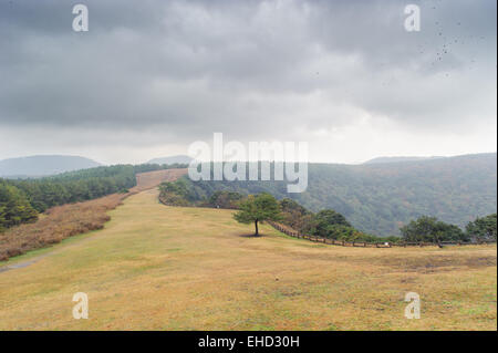 Vista dalla cima del cratere Sangumburi in Jeju Island Foto Stock