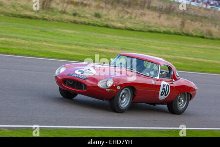 1961 Jaguar E-Type 'semi-leggero' durante il RAC TT celebrazione gara al 2014 Goodwood, Sussex, Regno Unito. Foto Stock