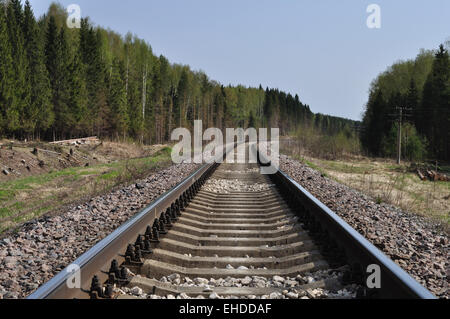 Paesaggio con il binario ferroviario in foresta Foto Stock