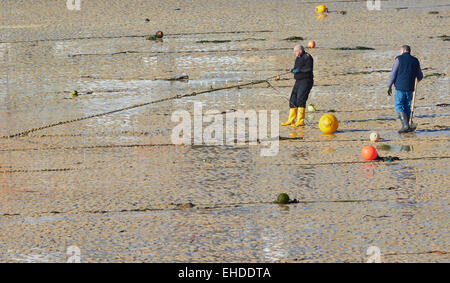 I pescatori delocalizzare posti barca nel porticciolo con la bassa marea sulla spiaggia di porto di St Ives Cornwall Inghilterra Europa Foto Stock