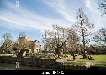 Canterbury, Regno Unito. Xii Marzo 2015. Bel tempo e viste di Canterbury lungo la Westgate Gardens Riverwalk. Credito: CBCK-Christine/Alamy Live News Foto Stock