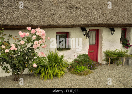 Irish cottage con tetto in paglia. Oughterard, Irlanda Foto Stock