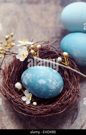 Blu uovo di pasqua in un nido Foto Stock