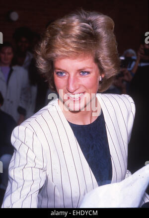 DIANA, Principessa del Galles (1961-1997) nel 1987 Foto Stock