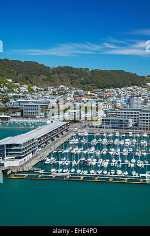 Crivelli superiori Marina e Clyde Quay Wharf appartamenti di lusso, Porto di Wellington, Wellington, Isola del nord, Nuova Zelanda - aerial Foto Stock