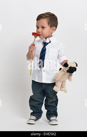 Due anni ragazzo simpatico tenendo un fiore e un peluche che pongono isolato in uno sfondo bianco. Foto Stock