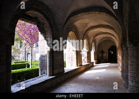 Chiostro abbazia e giardino, Tournus, Borgogna Foto Stock