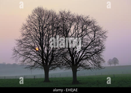 Altopiano, Giura, Franche Comte, Francia Foto Stock