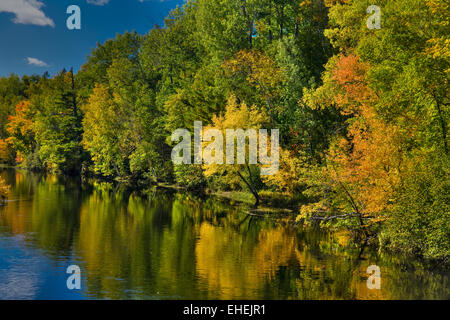 Autunno a est la forcella del Fiume Chippewa Foto Stock