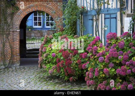 Case in fiore, Gerberoy, Piccardia, Francia Foto Stock