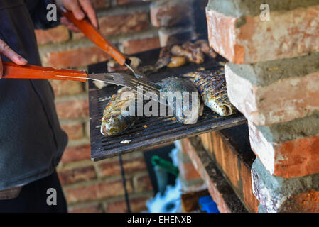 Pesce seduto sul barbecue in mattoni fritto in luce naturale Foto Stock