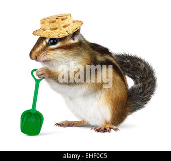 Funny Scoiattolo striado con cappello di paglia e la pala, agricoltore concept Foto Stock