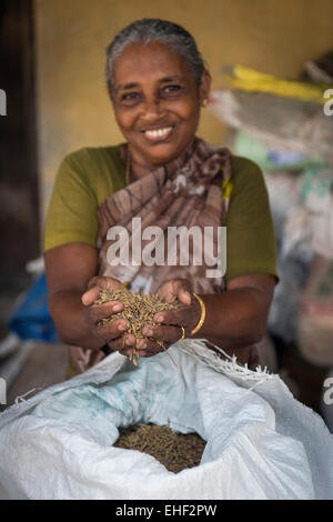 Donna che mantiene il riso Pokkali nelle sue mani, lagune, Ernakulam District, Kerala, India Foto Stock